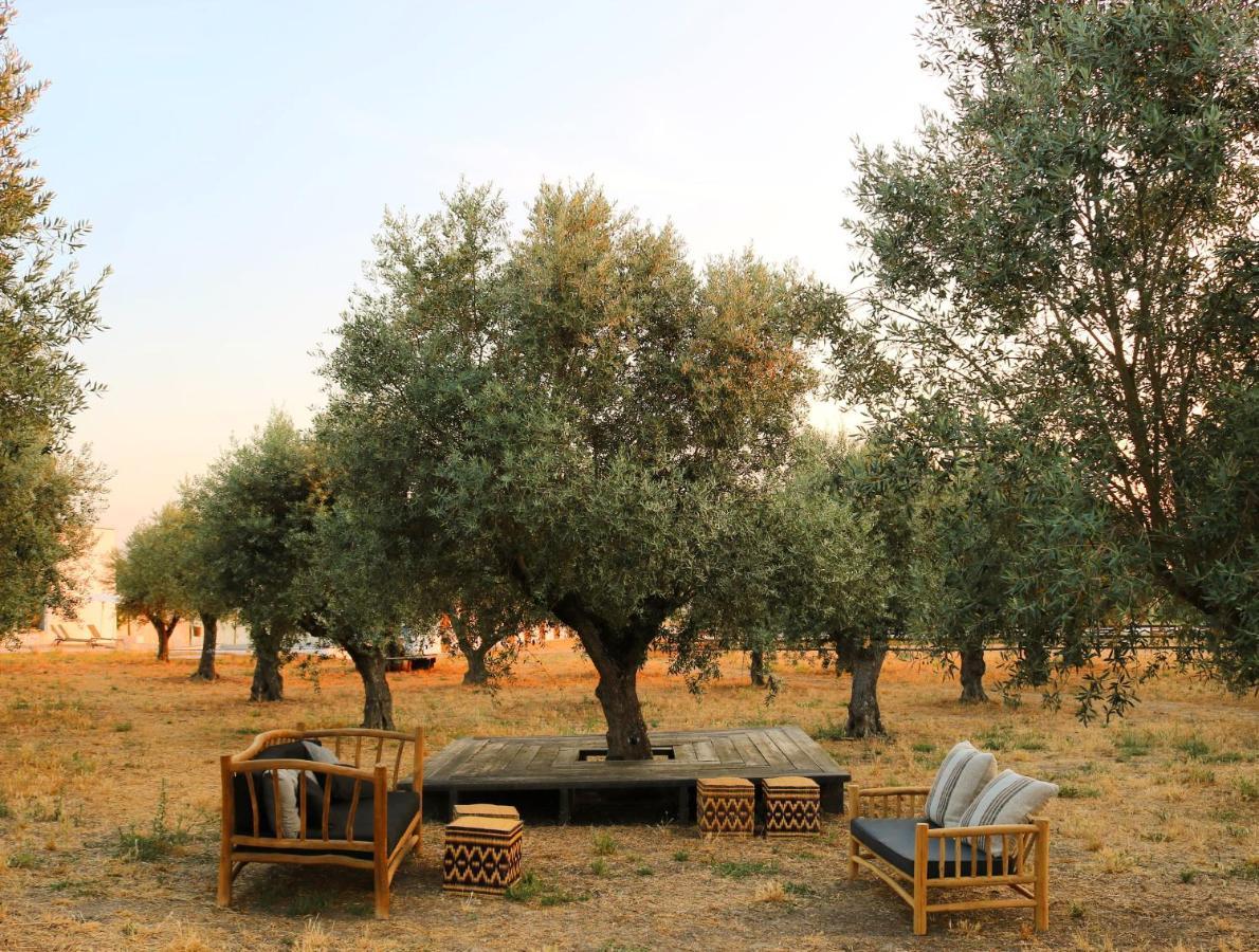 Torre De Palma Wine Hotel, Monforte, A Member Of Design Hotels Экстерьер фото