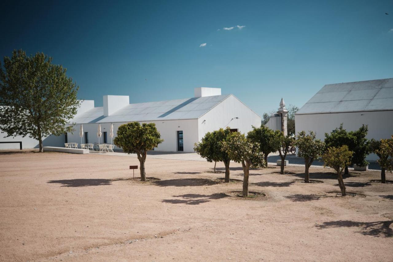 Torre De Palma Wine Hotel, Monforte, A Member Of Design Hotels Экстерьер фото